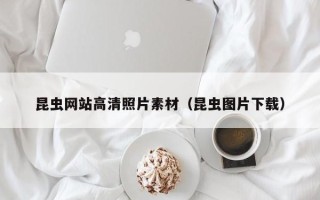 韩城昆虫网站高清照片素材（昆虫图片下载）